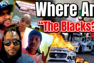 Black People Chilling While Latinos Riot Over ICE Raids!