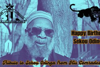 Happy Birthday Sekou Odinga: Tribute from his Comrades