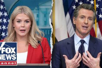 Leavitt: LAPD has been ‘knee-capped’ by ‘incompetent’ Dems