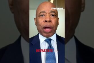 Eric Adams says Democratic socialist mayoral candidate will ‘devastate’ local supermarkets #shorts