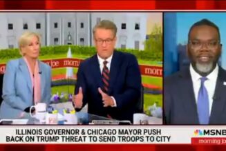 Brandon Johnson says affordable housing not cops will bring crime down