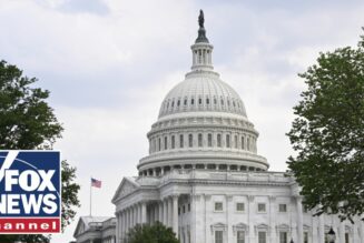 Democrats are ‘attempting to hold government funding HOSTAGE’ says Rep. John Thune (R-S.D.)