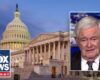 Newt Gingrich: This shutdown may be the ‘dumbest strategy’ in a while