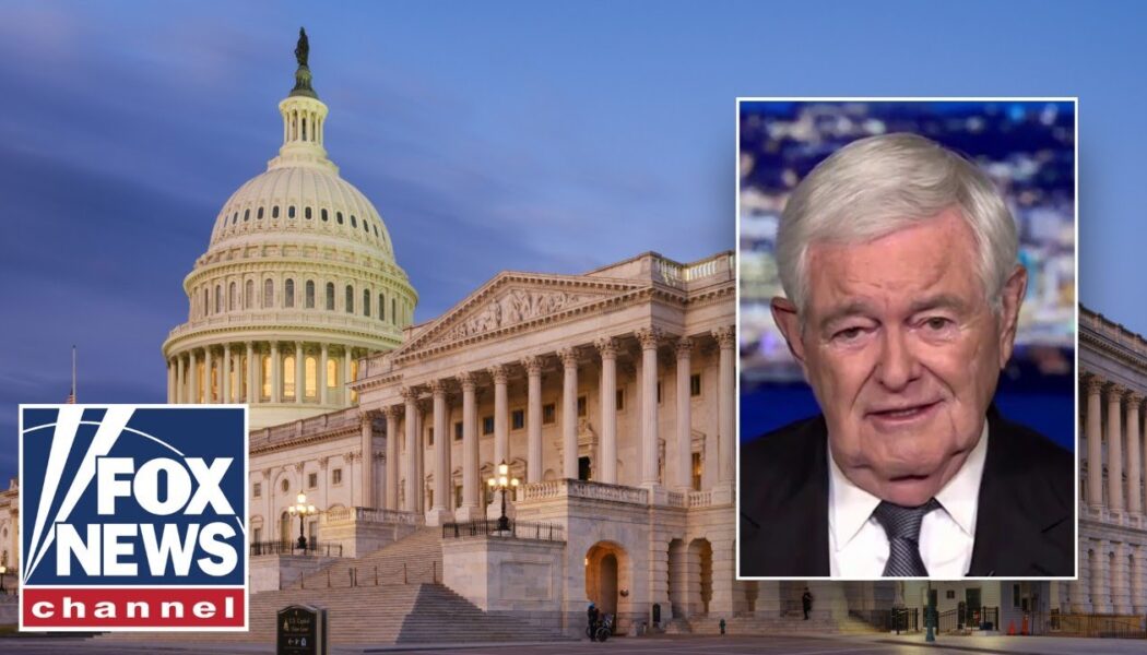 Newt Gingrich: This shutdown may be the ‘dumbest strategy’ in a while