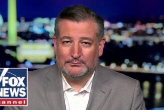 Ted Cruz: The Dem Party has gone ‘bat-crap crazy’