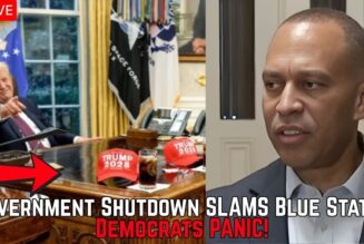 Elon Declares WAR on Netflix, Stock COLLAPSES as Millions CANCEL | Dems HUMILIATED in Trump Meme War